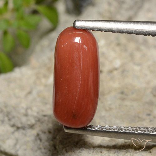 2.14 ct Red Coral, 10.7 x 5 mm Oval Cut From Australia, Photo A