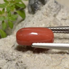 2.14 ct Red Coral Stone, Natural Coral in Oval Cabochon Shape for Sale