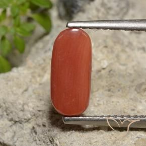 Coral Gemstone in 10.7 x 5 mm Size for Sale, Coral Stone in Orange Red Color