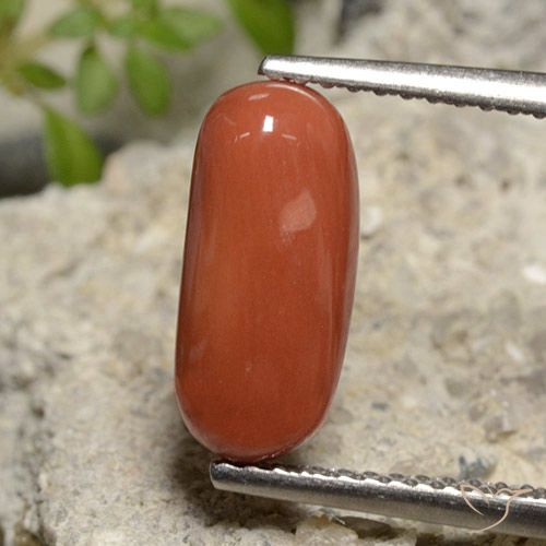 2.39 ct Red Coral, 12.3 x 5.6 mm Oval Cut From Australia, Photo A