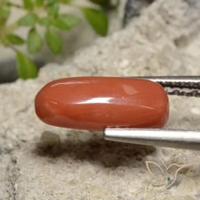 2.39 ct Red Coral Stone, Natural Coral in Oval Cabochon Shape for Sale