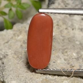 Coral Gemstone in 12.3 x 5.6 mm Size for Sale, Coral Stone in Orange Red Color