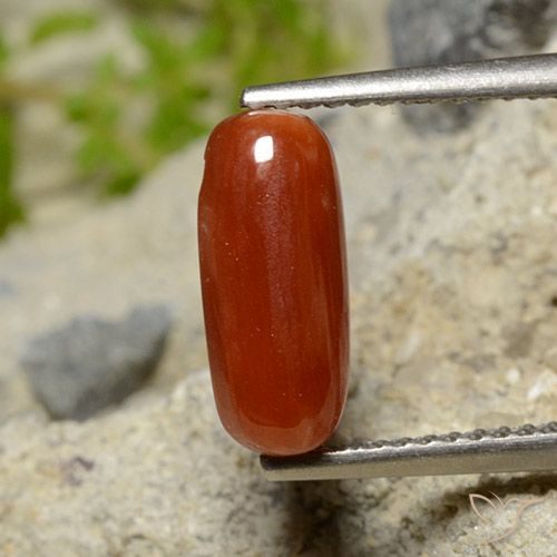 1.81 ct Red Coral, 11.6 x 5 mm Oval Cut From Australia, Photo A