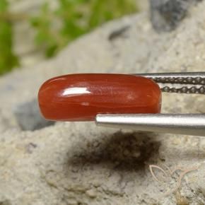 1.81 ct Red Coral Stone, Natural Coral in Oval Cabochon Shape for Sale