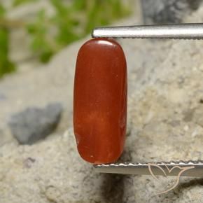 Coral Gemstone in 11.6 x 5 mm Size for Sale, Coral Stone in Fire Red Color