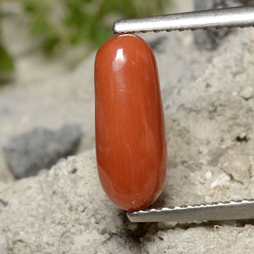1.91 ct Red Coral, 12.3 x 5 mm Oval Cut From Australia, Photo A
