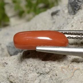 1.91 ct Red Coral Stone, Natural Coral in Oval Cabochon Shape for Sale