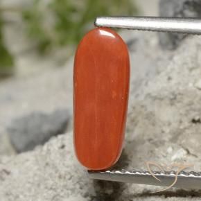 Coral Gemstone in 12.3 x 5 mm Size for Sale, Coral Stone in Medium Red Color
