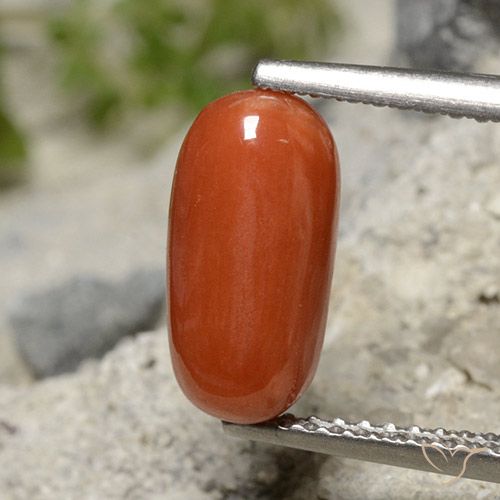 2.01 ct Red Coral, 11.3 x 5.6 mm Oval Cut From Australia, Photo A