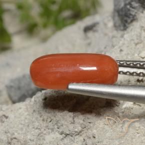 2.01 ct Red Coral Stone, Natural Coral in Oval Cabochon Shape for Sale