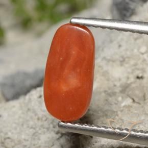 Coral Gemstone in 11.3 x 5.6 mm Size for Sale, Coral Stone in Orange Red Color