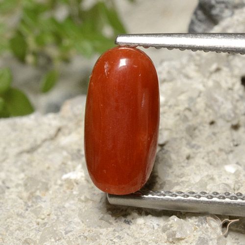1.86 ct Red Coral, 10.6 x 5.3 mm Oval Cut From Australia, Photo A