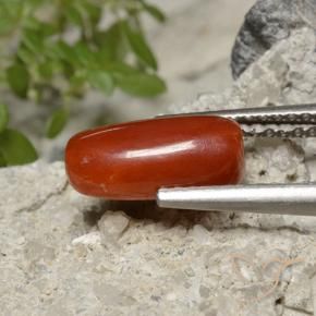 1.86 ct Red Coral Stone, Natural Coral in Oval Cabochon Shape for Sale