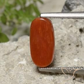 Coral Gemstone in 10.6 x 5.3 mm Size for Sale, Coral Stone in Fire Red Color