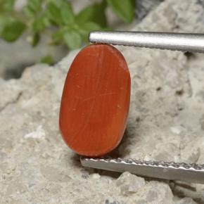 Coral Gemstone in 9.2 x 5.5 mm Size for Sale, Coral Stone in Medium Orange Color