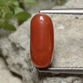 2.6ct Oval Cabochon Orange Red Coral Gem for sale 2.6ct Oval Cabochon Orange Red Coral Gem (ID: 499190)