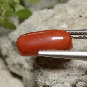 2.55 ct Red Coral Stone, Natural Coral in Oval Cabochon Shape for Sale