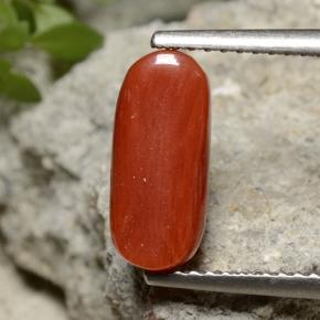 Coral Gemstone in 11.8 x 5.3 mm Size for Sale, Coral Stone in Medium Red Color