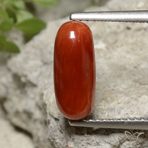 2.07 ct Red Coral, 12.1 x 5.2 mm Oval Cut From Australia, Photo A