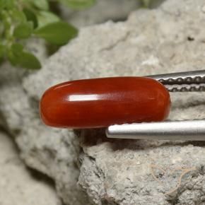 2.07 ct Red Coral Stone, Natural Coral in Oval Cabochon Shape for Sale