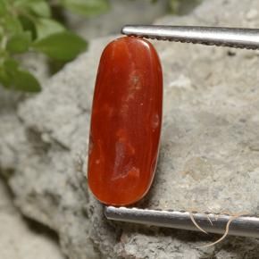 Coral Gemstone in 12.1 x 5.2 mm Size for Sale, Coral Stone in Fire Red Color