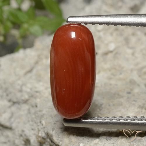1.95 ct Red Coral, 11.2 x 5.3 mm Oval Cut From Australia, Photo A