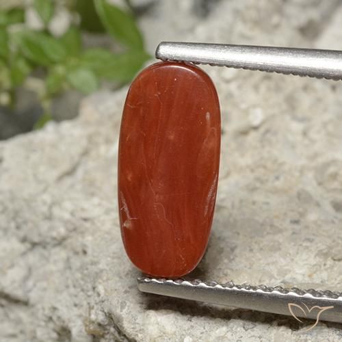 Coral Gemstone in 11.2 x 5.3 mm Size for Sale, Coral Stone in Fire Red Tone Color