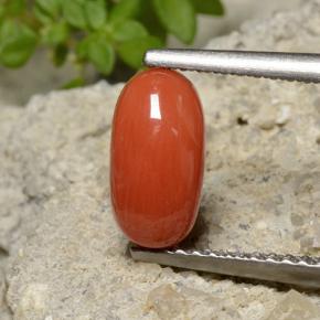 1.40 ct Orange Coral Gemstone, Coral Gem in Oval Cabochon Shape for Sale.