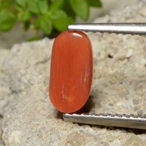 Coral Gemstone in 9.2 x 4.9 mm Size for Sale, Coral Stone in Fire Orange Color