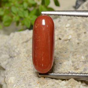 2.5ct Oval Cabochon Orange Red Coral Gem for sale 2.5ct Oval Cabochon Orange Red Coral Gem (ID: 499199)
