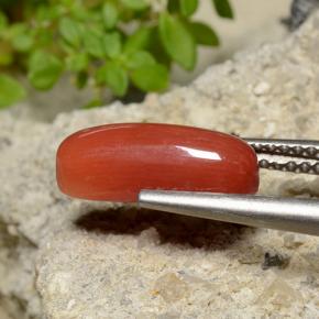 2.47 ct Red Coral Stone, Natural Coral in Oval Cabochon Shape for Sale