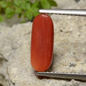 Coral Gemstone in 12.7 x 5 mm Size for Sale, Coral Stone in Orange Red Color