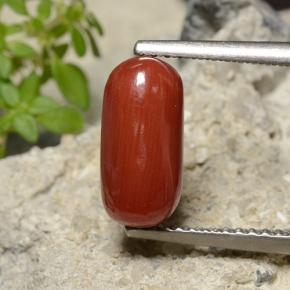 Fire Red Coral Gem - 2.5ct Oval Cabochon (ID: 499200)