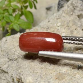 2.51 ct Red Coral Stone, Natural Coral in Oval Cabochon Shape for Sale