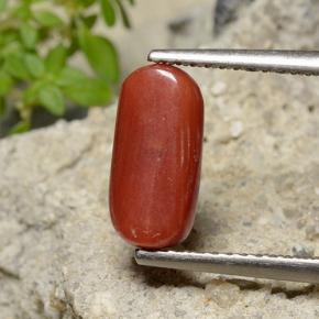 Coral Gemstone in 10.9 x 5.3 mm Size for Sale, Coral Stone in Fire Red Color