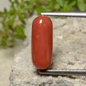 2.7ct Oval Cabochon Orange Red Coral for sale thumb image of 2.7ct Oval Cabochon Orange Red Coral (ID: 499201)