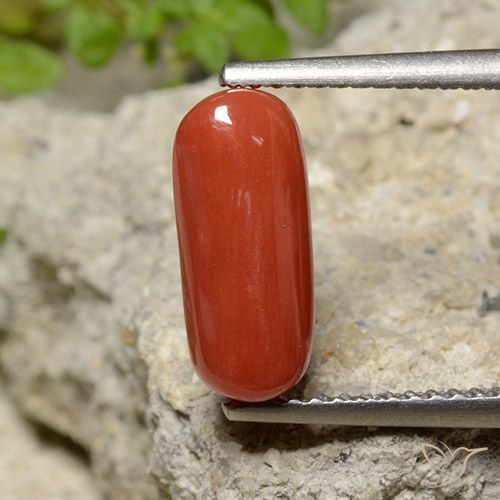 2.06 ct Red Coral, 12 x 5.2 mm Oval Cut From Australia, Photo A