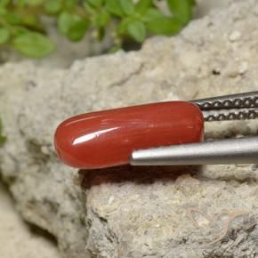 2.06 ct Red Coral Stone, Natural Coral in Oval Cabochon Shape for Sale