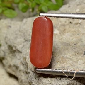 Coral Gemstone in 12 x 5.2 mm Size for Sale, Coral Stone in Orange Red Color