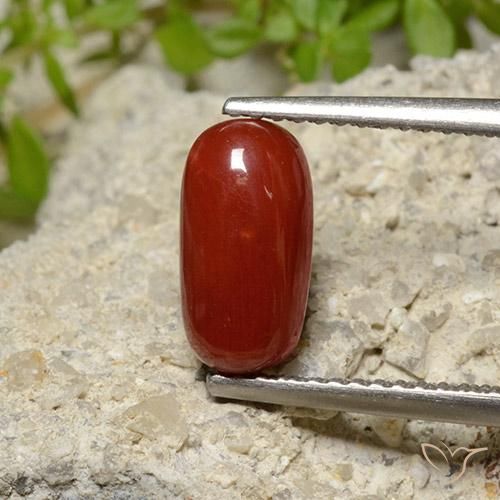 2.06 ct Red Coral, 10.2 x 5.4 mm Oval Cut From Australia, Photo A