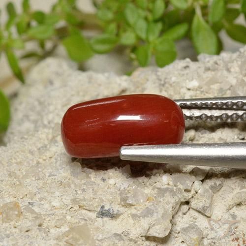 2.06 ct Red Coral Stone, Natural Coral in Oval Cabochon Shape for Sale