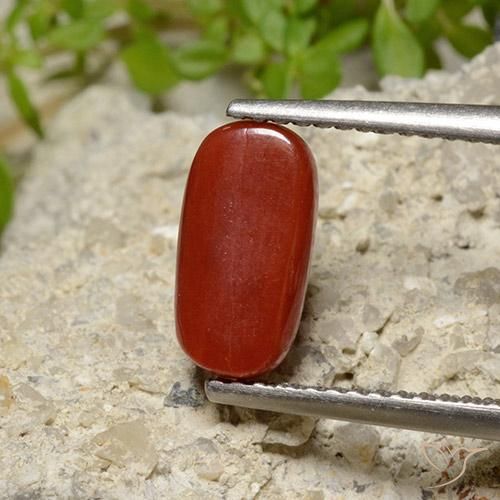 Coral Gemstone in 10.2 x 5.4 mm Size for Sale, Coral Stone in Fire Red Color
