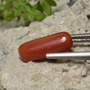 2.26 ct Red Coral Stone, Natural Coral in Oval Cabochon Shape for Sale