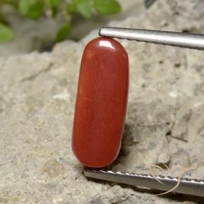 Coral Gemstone in 12.7 x 5 mm Size for Sale, Coral Stone in Medium Red Color