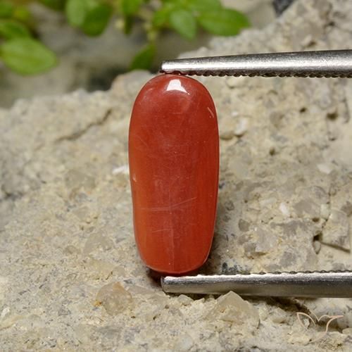 Coral Gemstone in 11.2 x 5 mm Size for Sale, Coral Stone in Orange Red Color