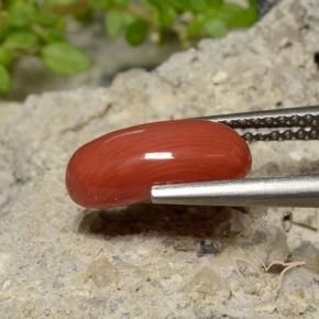 2.04 ct Red Coral Stone, Natural Coral in Oval Cabochon Shape for Sale