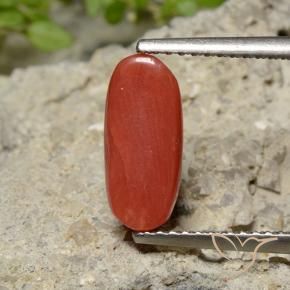Coral Gemstone in 11.9 x 5.4 mm Size for Sale, Coral Stone in Medium Red Color