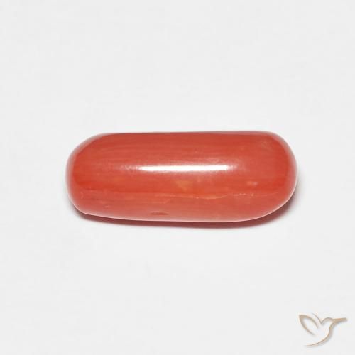 2.25 ct Red Coral, 12.1 x 4.9 mm Oval Cut From Australia, Photo A
