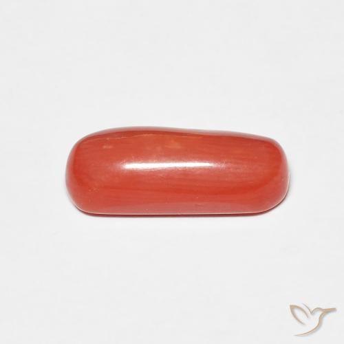 Coral Gemstone in 12.1 x 4.9 mm Size for Sale, Coral Stone in Orange Red Color