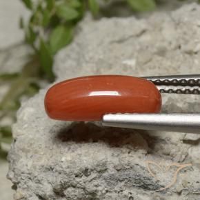 2.11 ct Red Coral Stone, Natural Coral in Oval Cabochon Shape for Sale